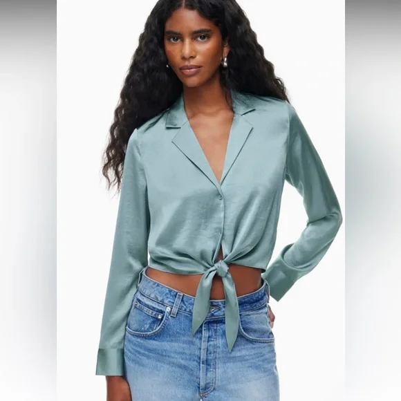 Aritzia Wilfred Satin Blouse - Picture 4 of 4